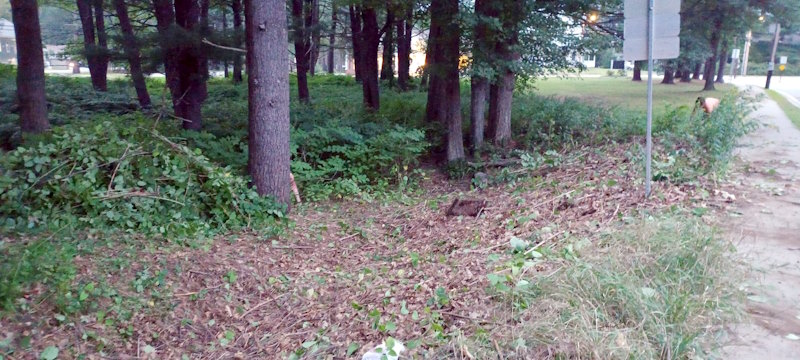 Ladies Wildwood Park - After