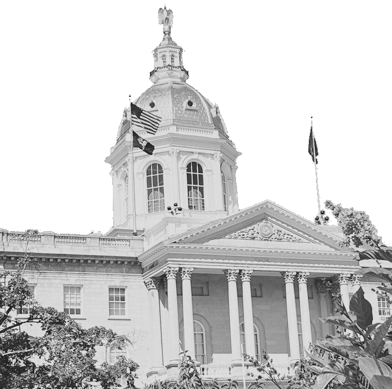 A building with a dome and a flag on top

Description automatically generated