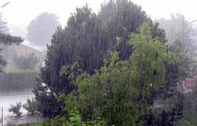Rain