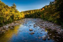The Swift River, White Mountain National Forest
