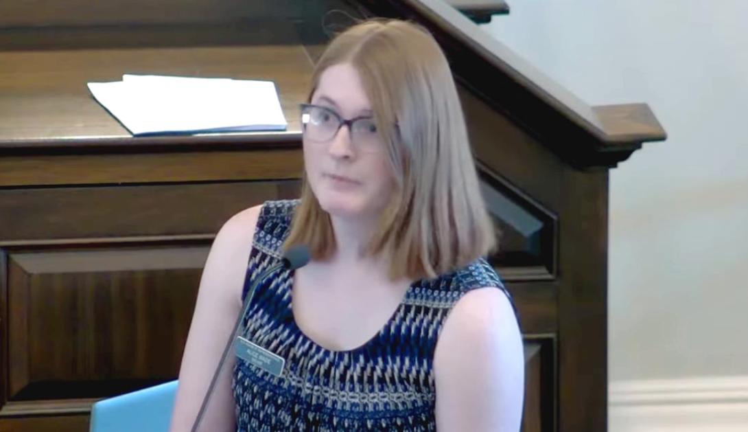 Rep. Alice Wade speaking in the well of the NH House of Representatives